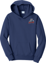 Hartford Jr. Wolfpack Youth Fan Favorite Fleece Pullover Hooded Sweatshirt