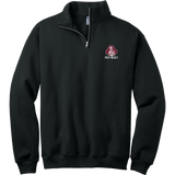 St. Peter's Prep NuBlend 1/4-Zip Cadet Collar Sweatshirt