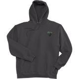 Lansing Spartans Ultimate Cotton - Pullover Hooded Sweatshirt