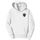 Lansing Spartans Youth Fan Favorite Fleece Pullover Hooded Sweatshirt