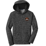 Princeton Jr. Tigers Youth PosiCharge Electric Heather Fleece Hooded Pullover